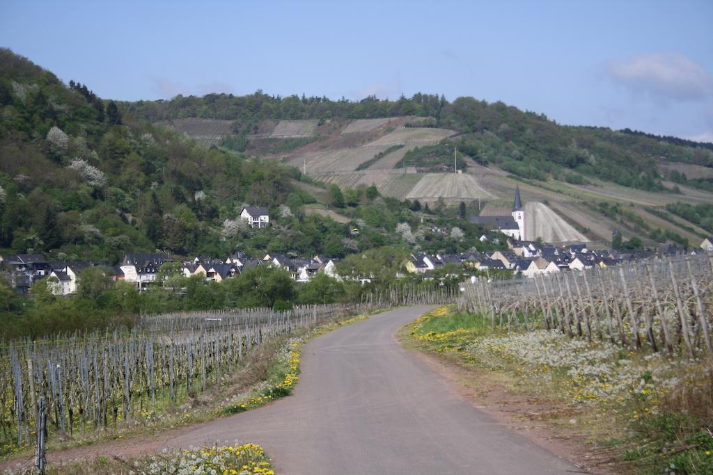 מלון ברידל Weingut Goeres מראה חיצוני תמונה